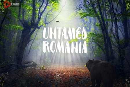 Untamed Romania 2018
