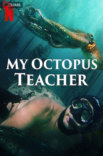 My Octopus Teacher 2020