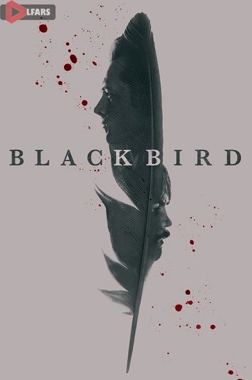 Black Bird cover